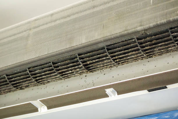 Best Commercial Air Duct Cleaning  in Mound Bayou, MS
